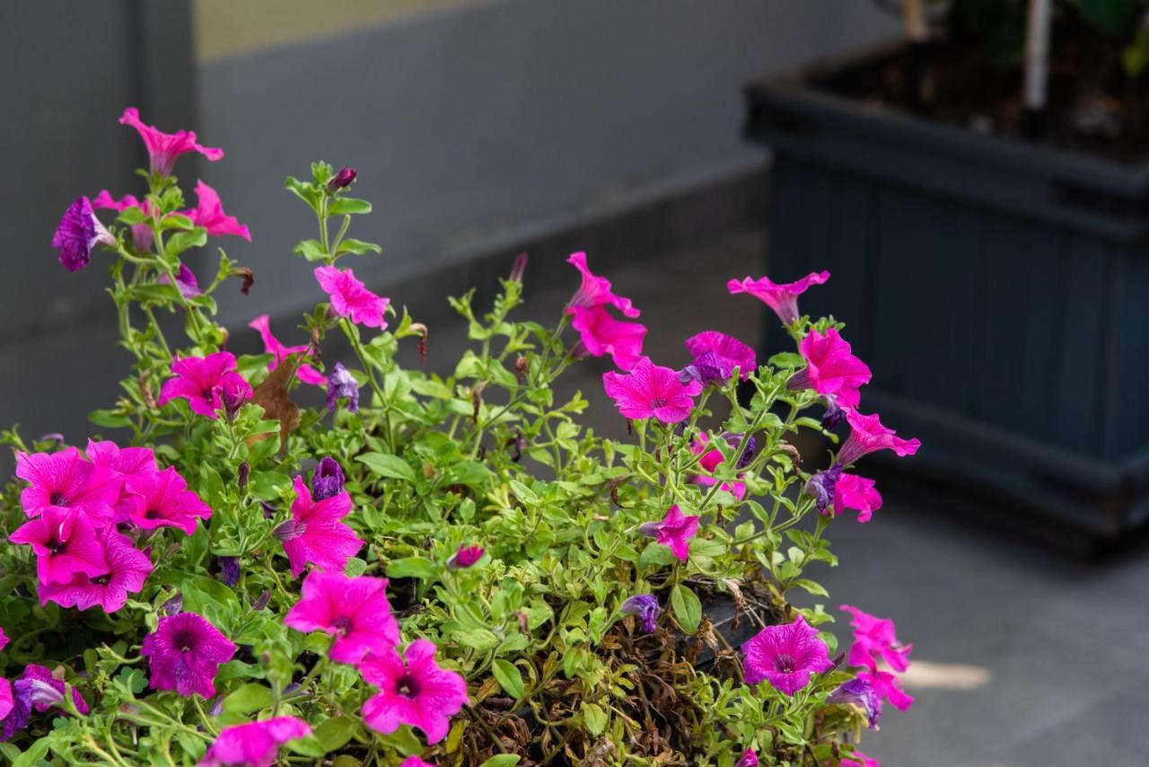 La Fonderia Firenze Bed & Breakfast Eksteriør bilde